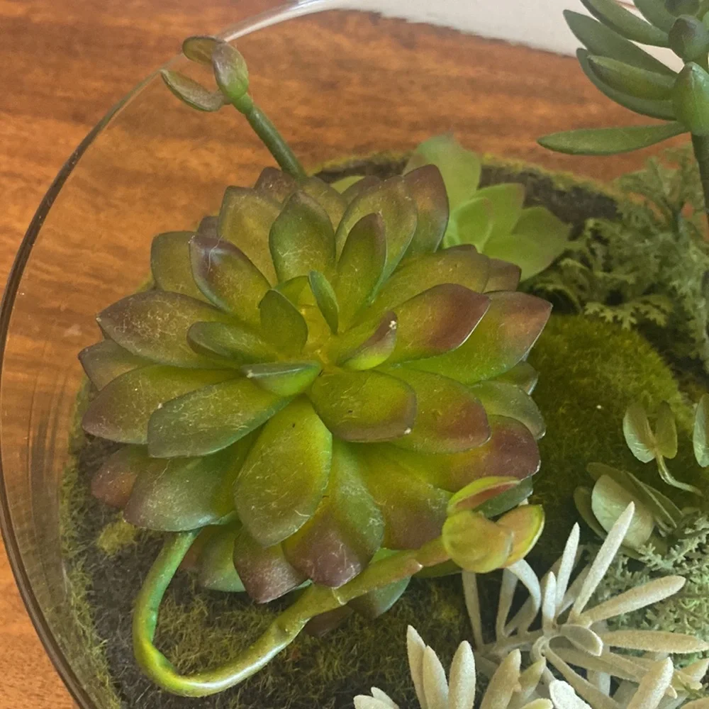 Target Threshold. Succulents in terrarium Glass bowl arrangement.